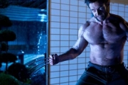 Wolverine w kinach!