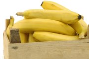 Kokaina w bananach