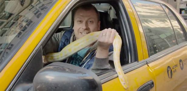 wąż w nowojroskiej taksówce