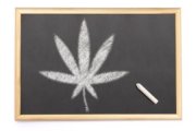 Wiedza o marihuanie - nowy kierunek studiów!