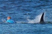 Surfer kontra rekin [WIDEO]