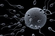 Jaki jest idealny dawca spermy?