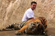 Pijani Polacy atakują tygrysy
