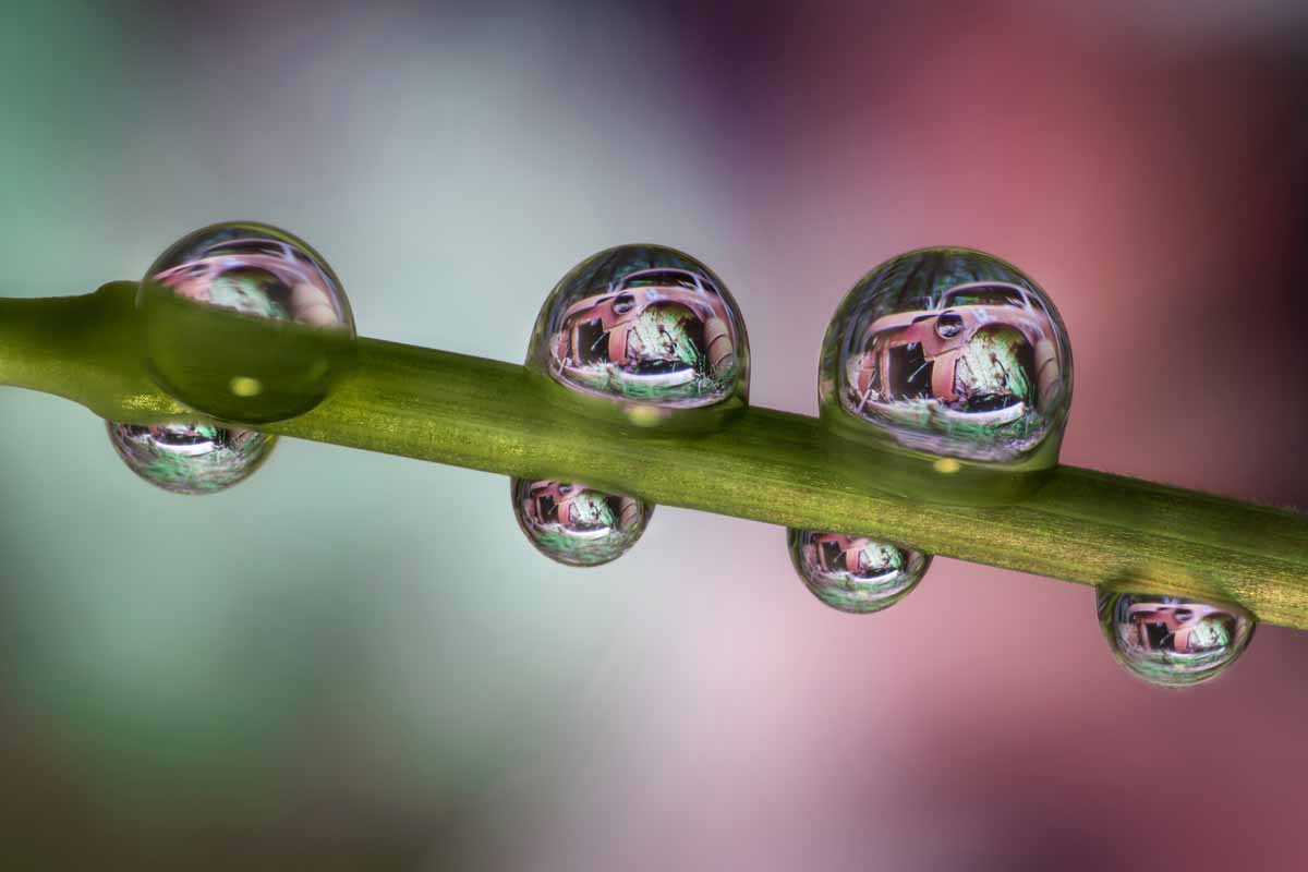 40mm_Water Droplets_focus.jpg