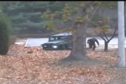 Ucieczka żołnierza z Korei Północnej – pościg, strzały, nagrania noktowizyjne [WIDEO]