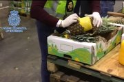 745 kg kokainy w ananasach