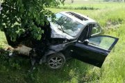 Pijany Afrykanin rozbił auto w Polsce – twierdzi, że antylopa wybiegła mu przed maskę