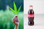 Coca-Cola z marihuaną? Marka właśnie bada rynek konopi