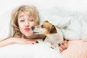 Kobietom śpi się lepiej w towarzystwie psa niż partnera