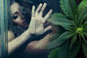Seks po marihuanie: czy faktycznie daje więcej frajdy?
