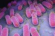 Niebezpieczna bakteria wydostała się z chińskiego laboratorium. 2020 wciąż trwa