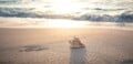 seth0s-beach-4301479