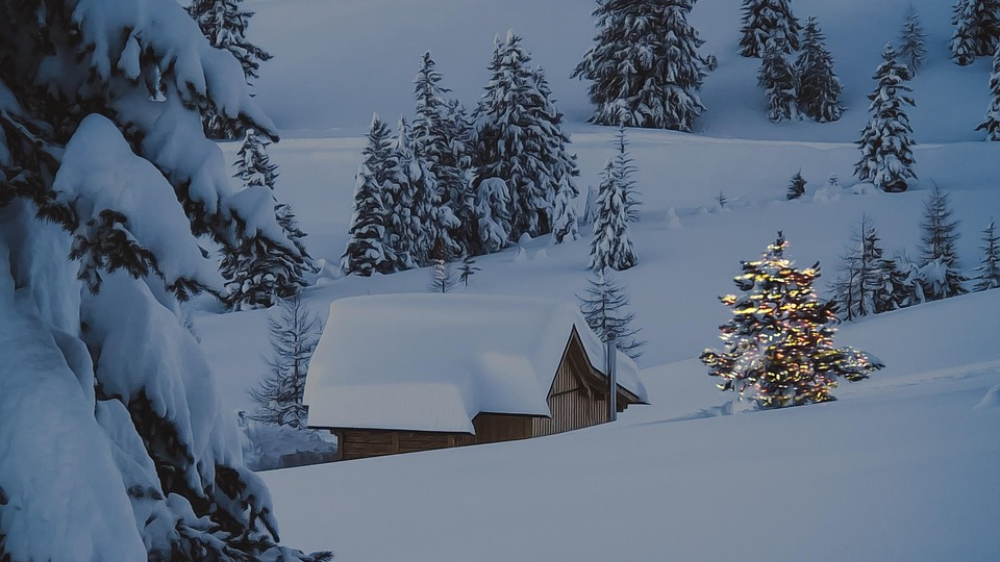 Zimowy krajobraz z choinką