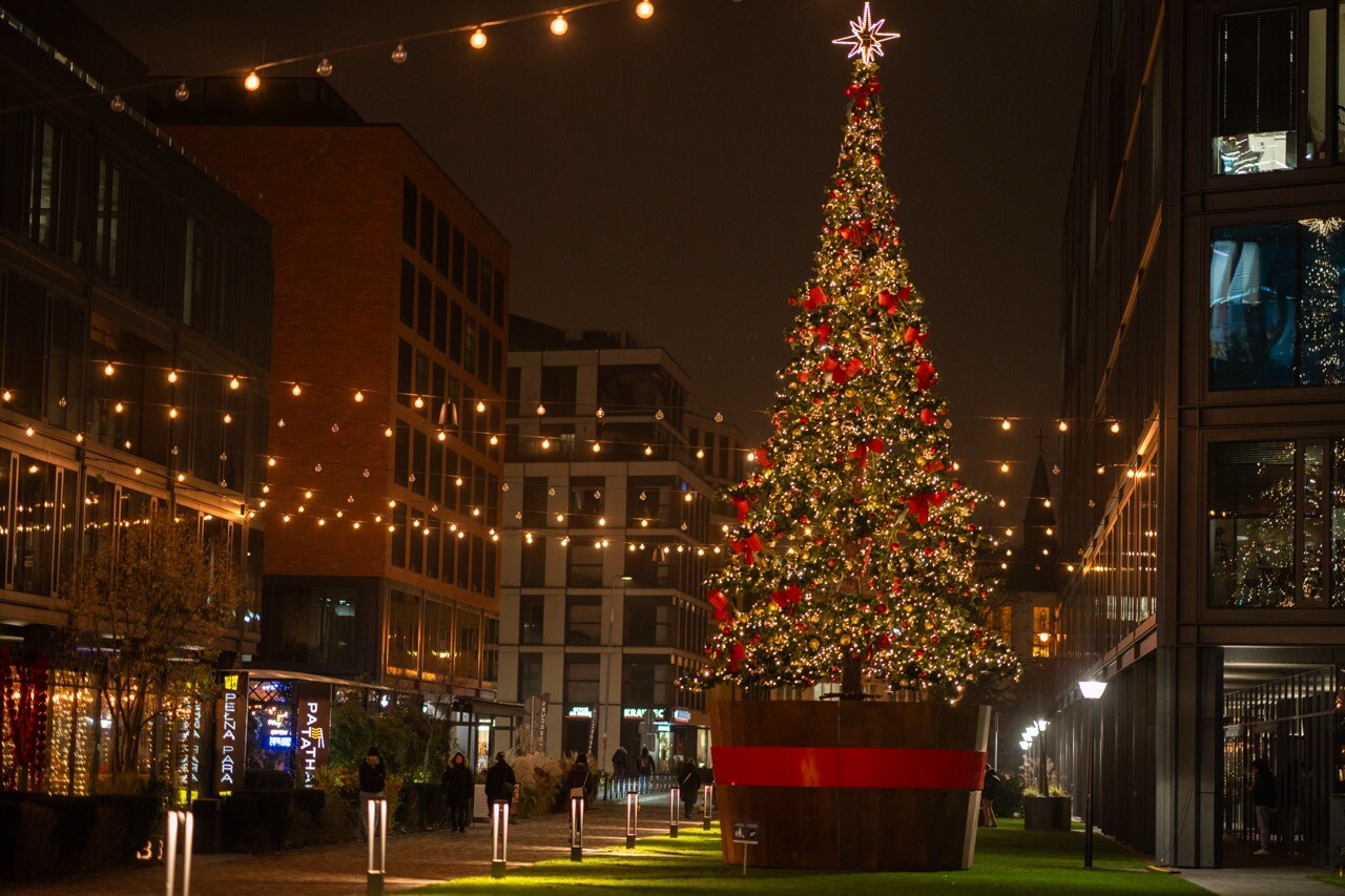 Elektrownia Powiśle (3) Duży