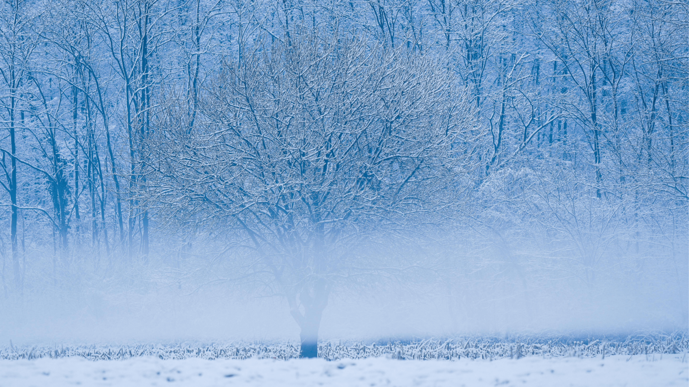 Jarosław Kaczyński, fot. KAPiF - 2026-04-20T100238.267
