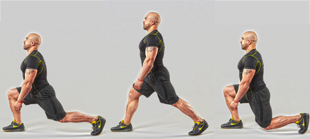 trening domatora trening domatora