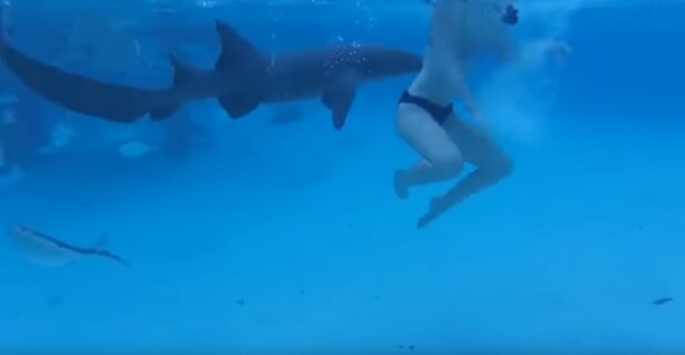 rek-bdd551fda49d13583061e25de538d3c7_5d0512