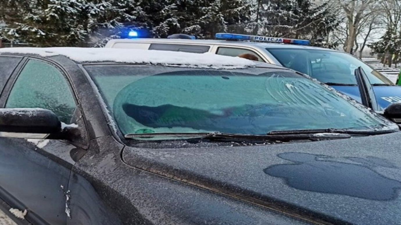 Projekt bez nazwy (51)