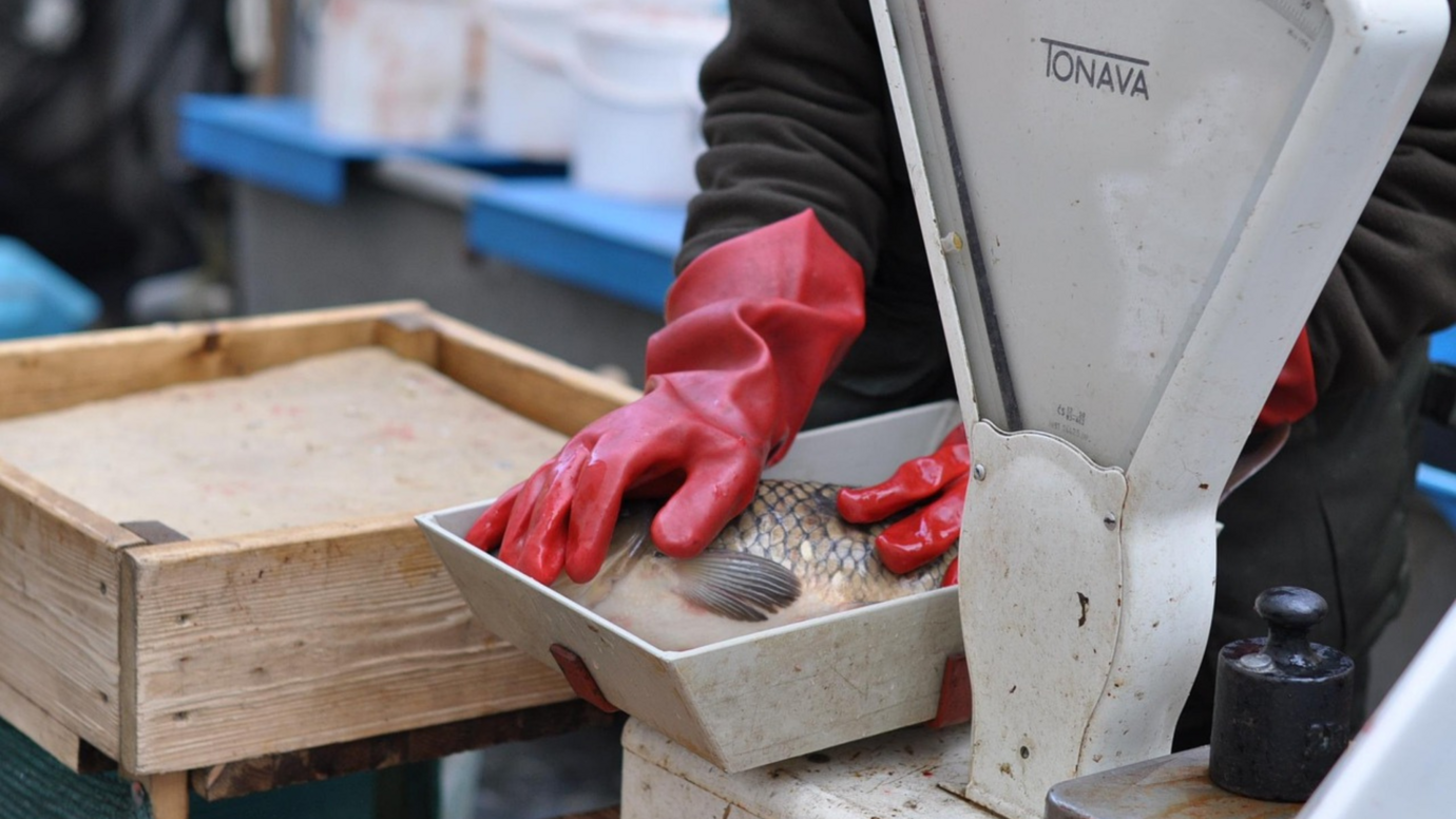 Projekt bez nazwy (57)