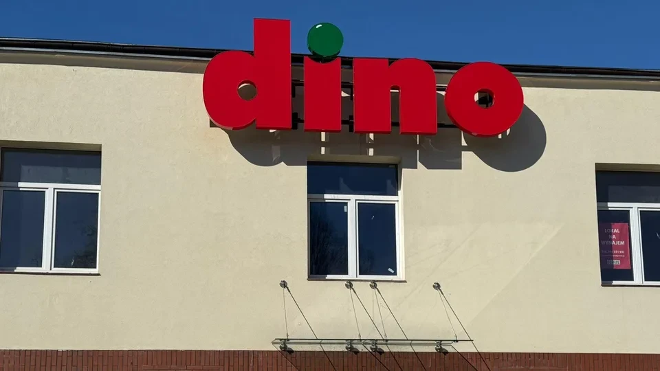 dino dino