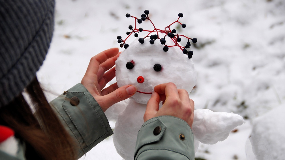 Projekt bez nazwy (2)