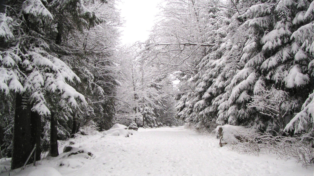 Projekt bez nazwy-137