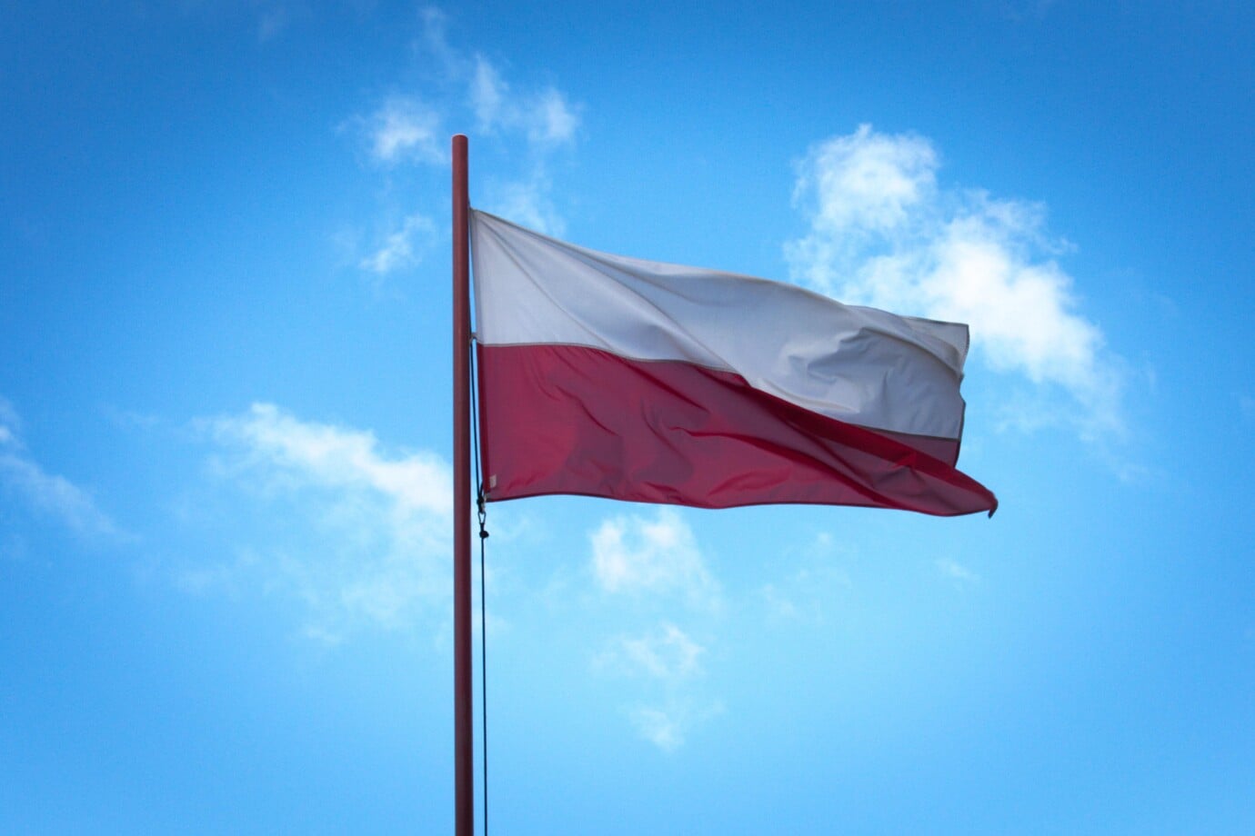 niepodaje-flag-5628983
