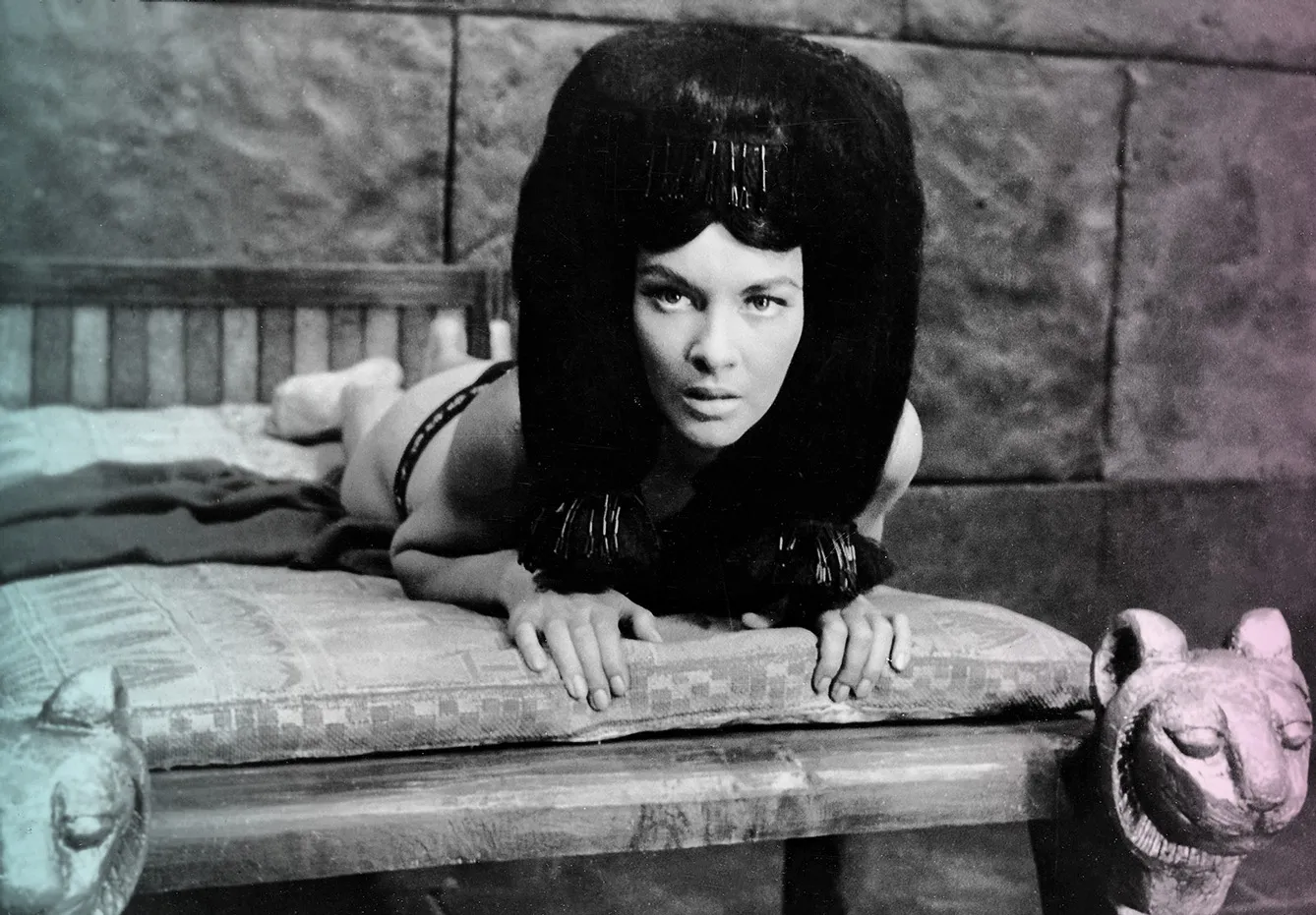 faraon.png faraon-6b7e12c587b59d025d2c9bc061dc6bd1_c501c5