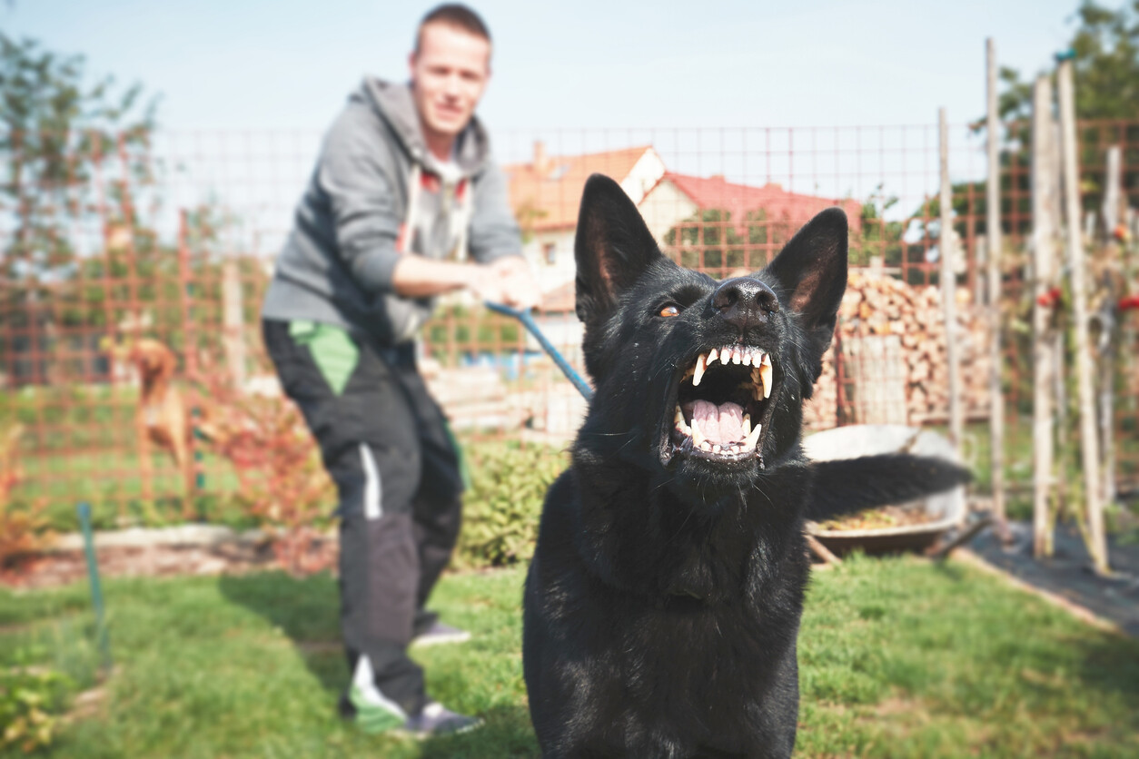 iStock-614507658 iStock-614507658
