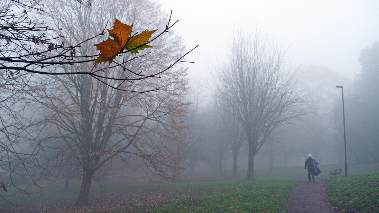 Projekt bez nazwy(1) Projekt bez nazwy(1)