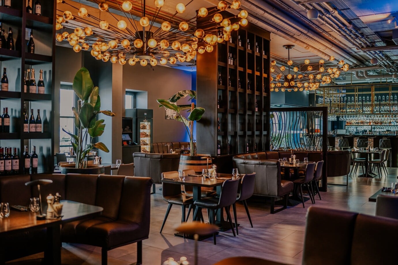 Prime Cut (4) Prime Cut (4)