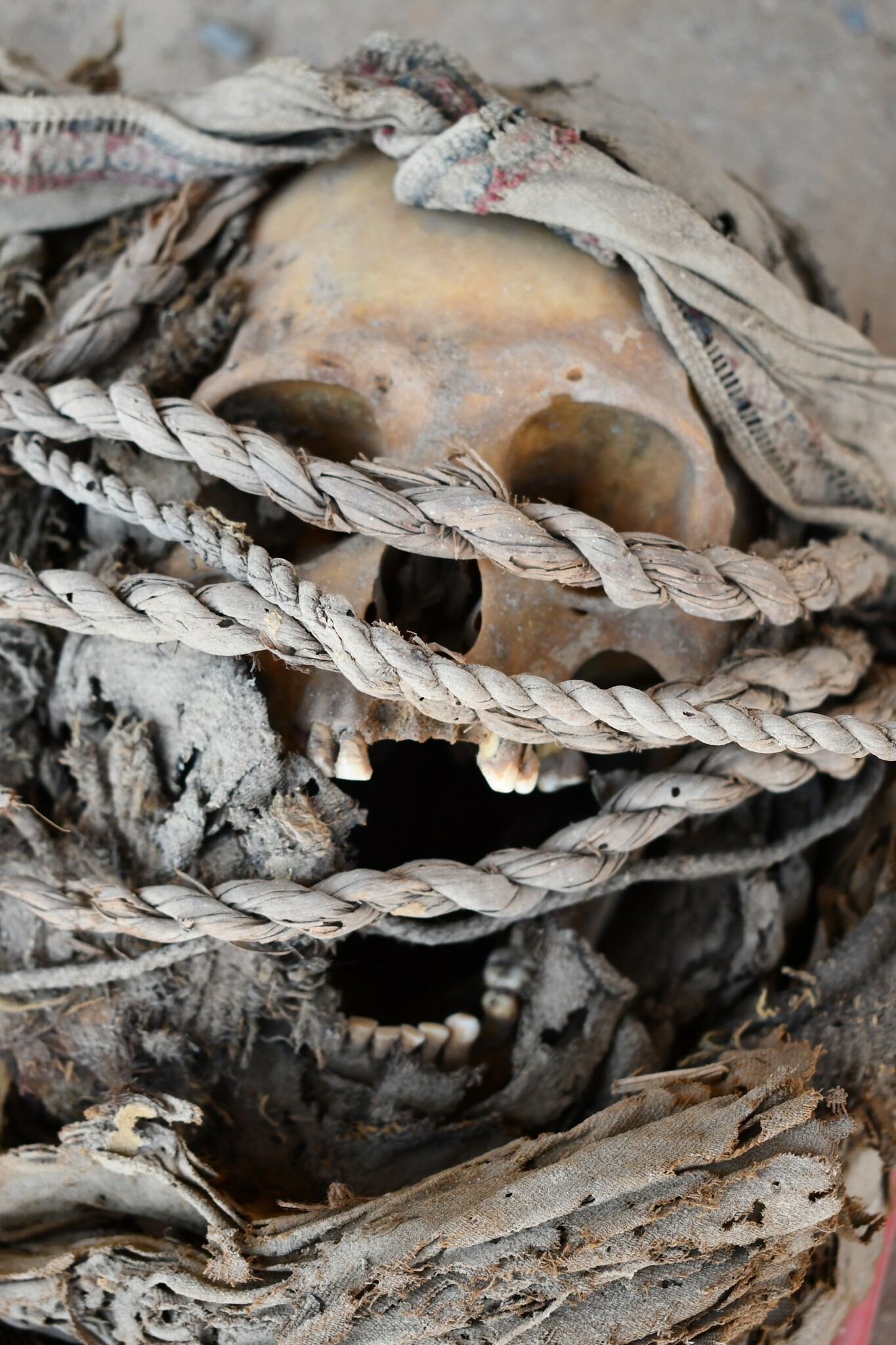 488769209_1133657741894789_9073175434391671302_n.jpg 488769209-1133657741894789-9073175434391671302-n-d842a959539b409daae90b0ba7355cd1_720db6