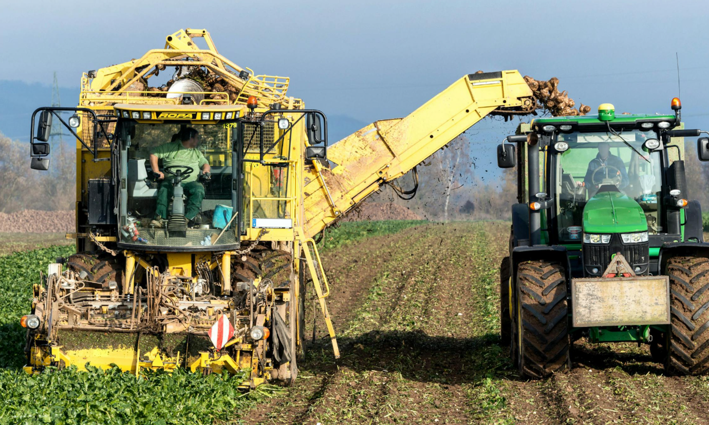 Rolnicy mają powód do świętowania. W tle duży dochód Rolnicy mają powód do świętowania. W tle duży dochód