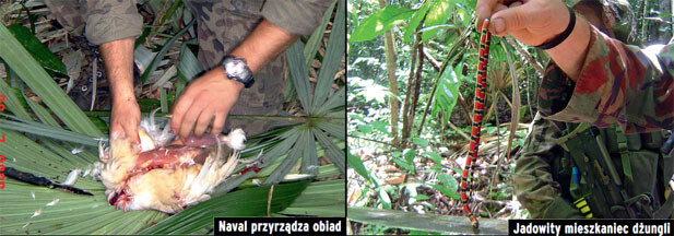 naval_podwojna.jpg naval-podwojna-2a0c9d0adcc2015863791d599050e92d_fbfebe