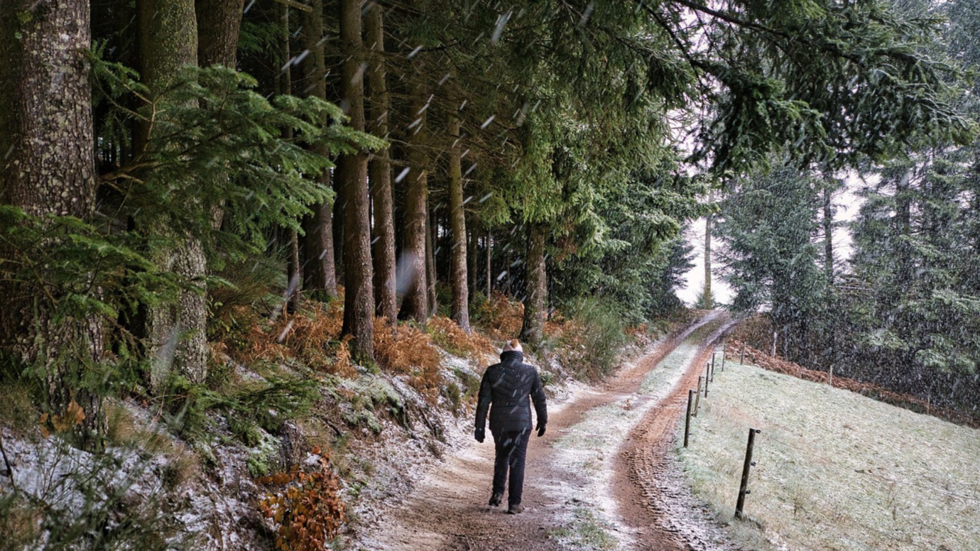 Projekt bez nazwy (68)