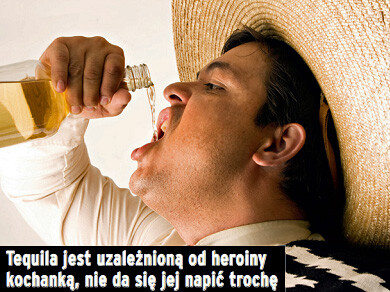 make-alko-tequila-f73d005895a5e19ab53c9e6239710c6d_ce8ff8
