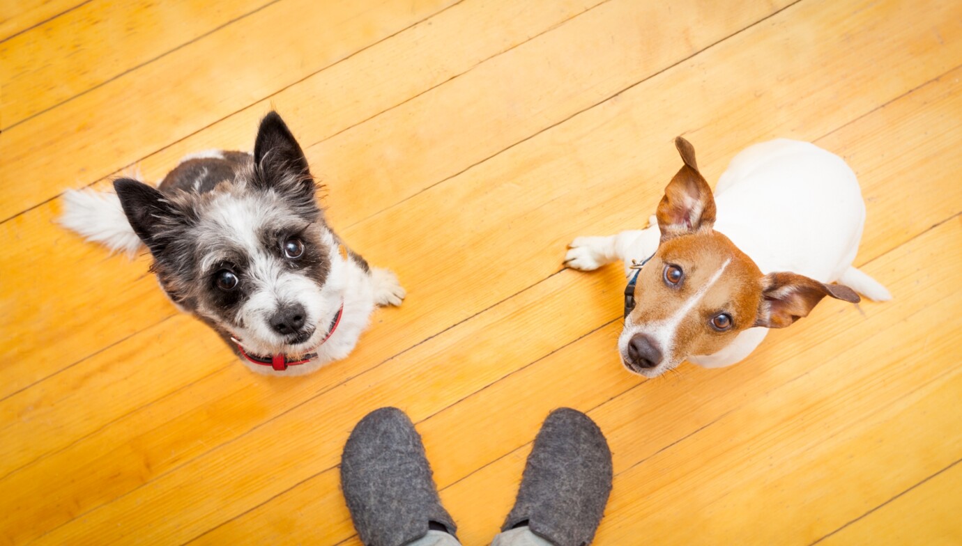 istock-470838546-2745d33edada960a11e6ce0214df6f98_670c4b istock-470838546-2745d33edada960a11e6ce0214df6f98_670c4b