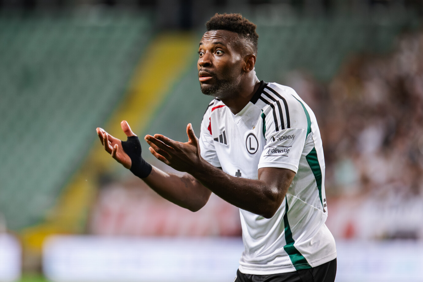 forum-1027049090 forum-1027049090