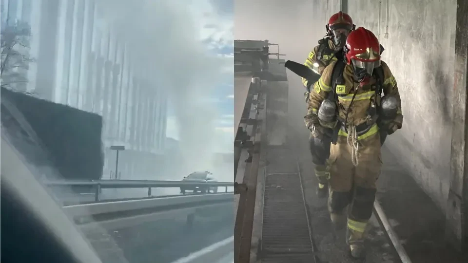 699996feb28af-a7aa57c3a596 699996feb28af-a7aa57c3a596