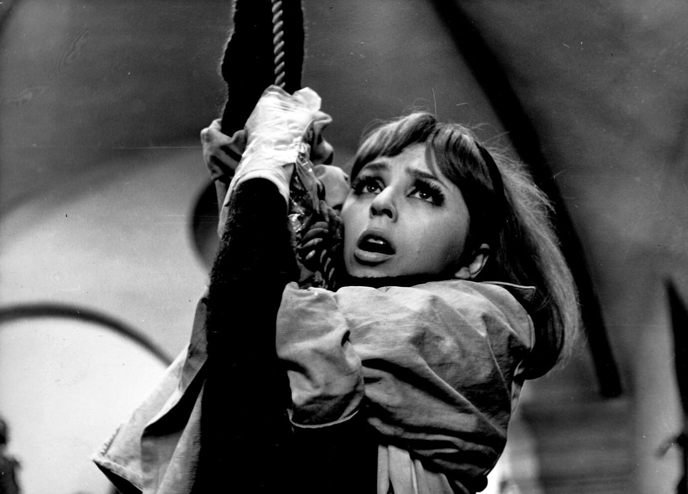 kalina_jedrusik0321.jpg kalina-jedrusik0321-f3d360b37be551ae25dd7a517032d9cb_81523c