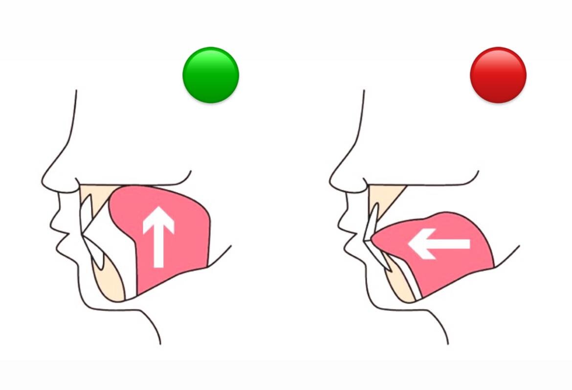 429081911_1802078003608363_2459946037193669903_n.jpg 429081911-1802078003608363-2459946037193669903-n-d0b699d8c7ad830fcd5042695a75dde8_b46a4b