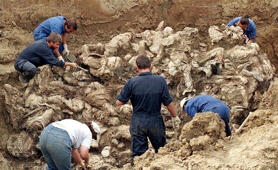 AHA5c7e56_WiderImage_ AHA5c7e56_WiderImage_