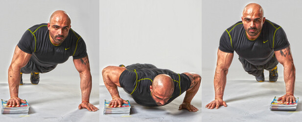 trening domatora