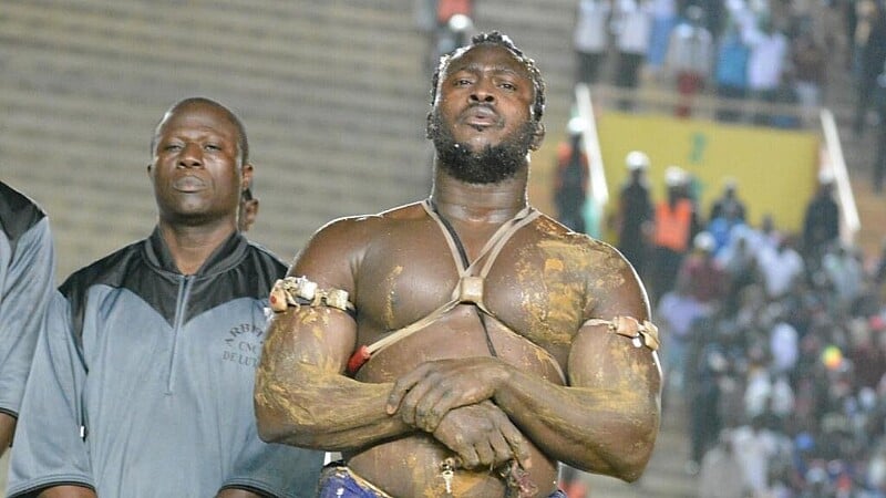 8312025103609-m5hsk8v331-modou-lo-34-1 8312025103609-m5hsk8v331-modou-lo-34-1