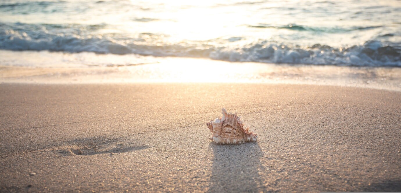 seth0s-beach-4301479 seth0s-beach-4301479
