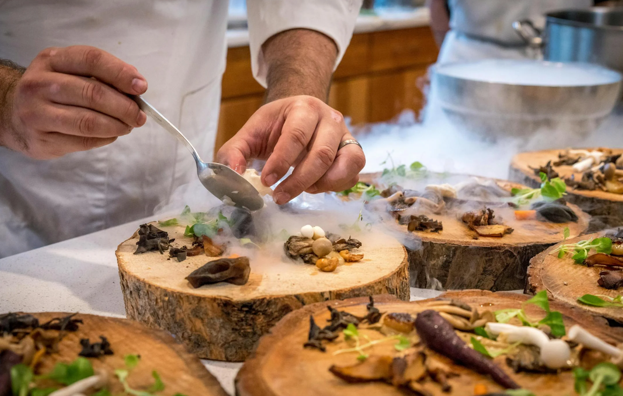 grzybobranie dla początkujących grzybobranie dla początkujących