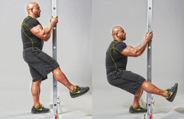 trening domatora trening domatora