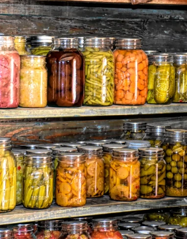 ray_shrewsberry-root-cellar-4022024_1920