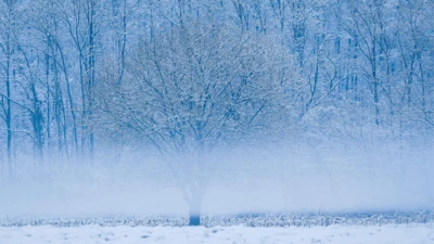 Jarosław Kaczyński, fot. KAPiF - 2026-04-20T100238.267