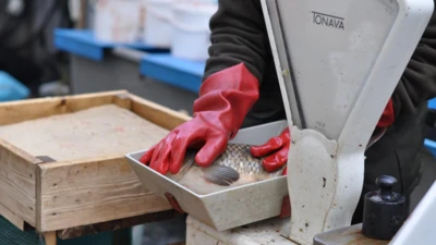 Projekt bez nazwy (57) Projekt bez nazwy (57)